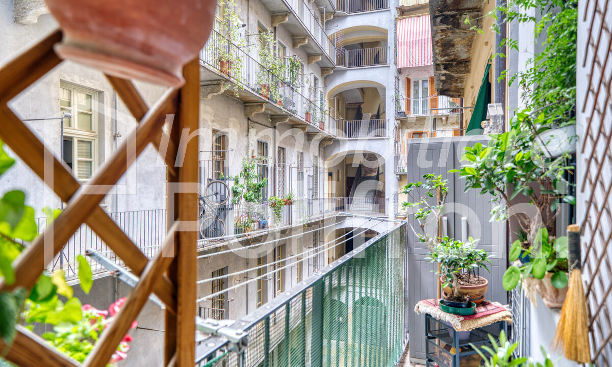 Torino - Via Conte Verde 2 OrizDSC07422