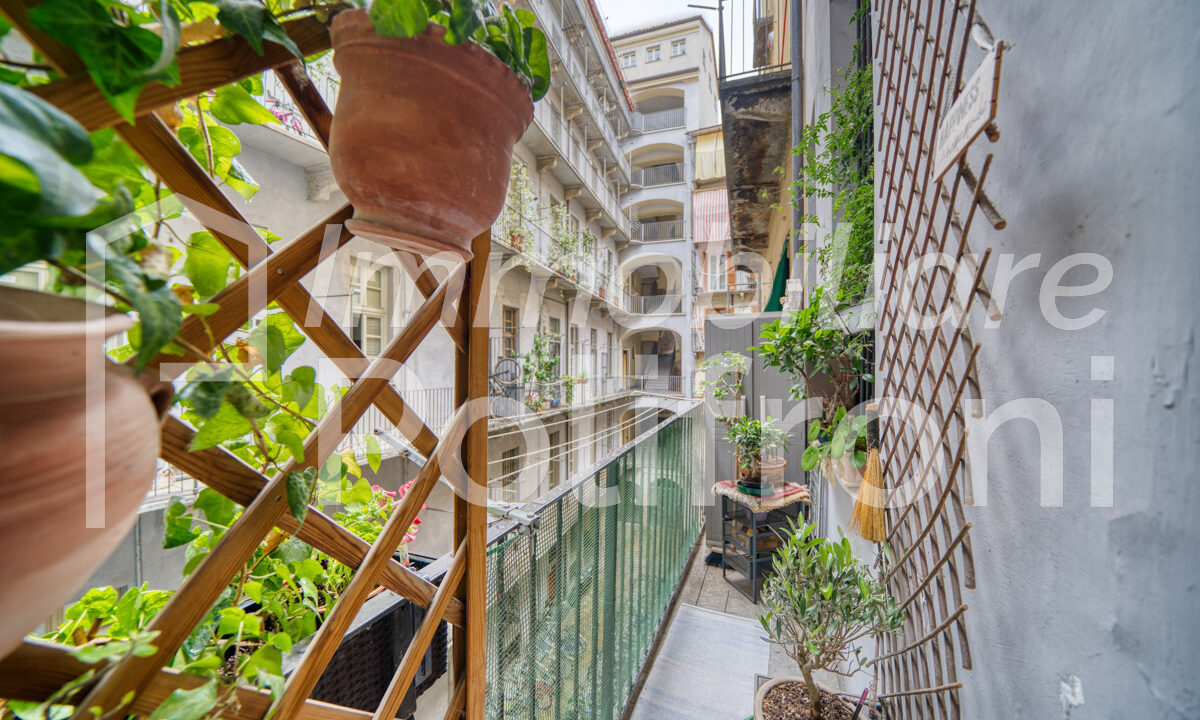 Torino - Via Conte Verde 2 OrizDSC07427