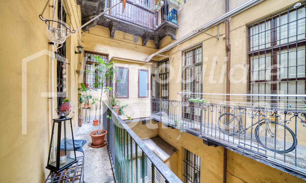 Torino - Via Conte Verde 2 OrizDSC07477